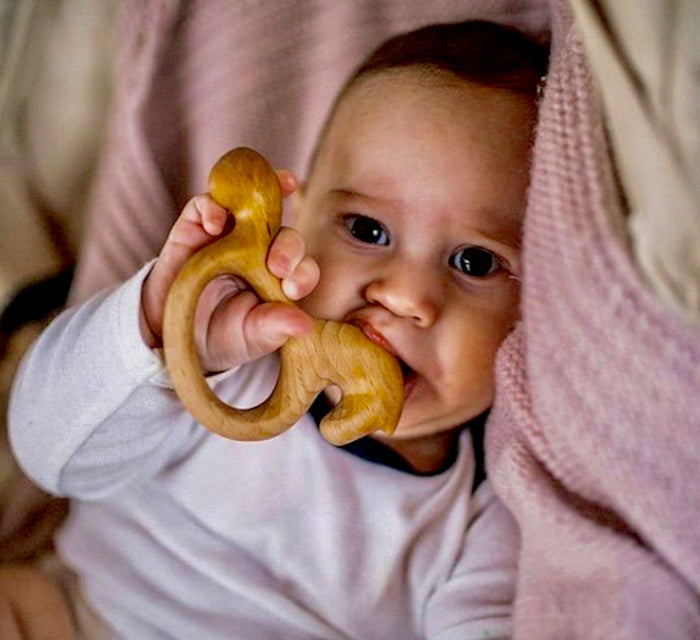 Organic Wooden Rattle-Teether Horse - PoppyBabyCo