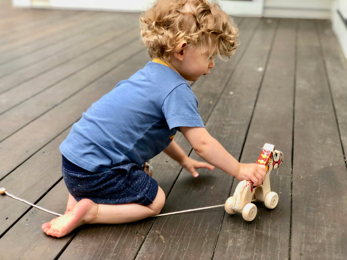 Wooden Horse Pull toy painted - PoppyBabyCo