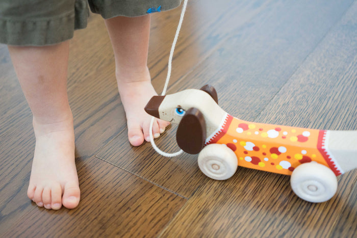 Wooden Dachshund Dog Pull toy painted - PoppyBabyCo