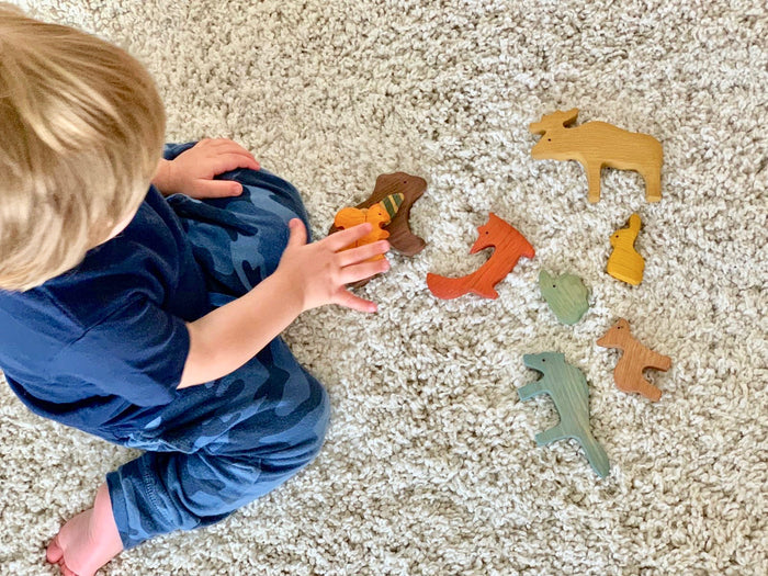 Wooden set of 9 Animals from the forest painted - PoppyBabyCo