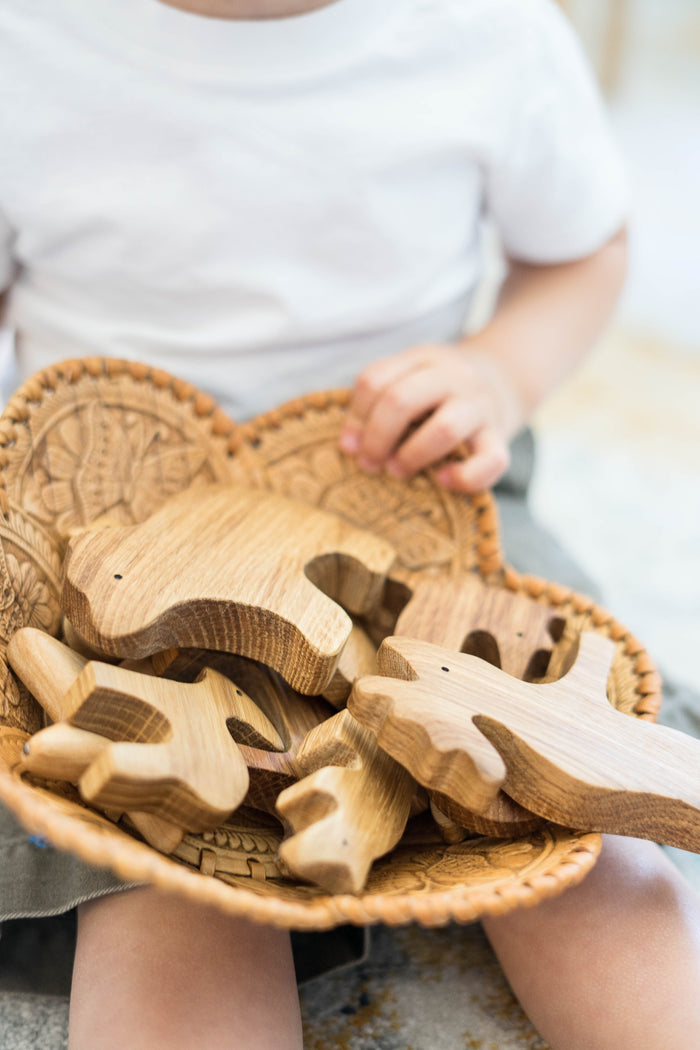 Natural Wooden Forest Animals set of 9 - PoppyBabyCo