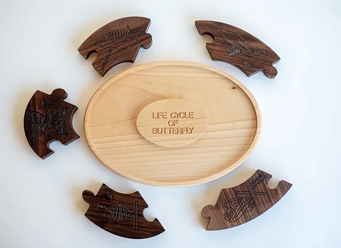 Wooden Life Cycle of Butterfly Board