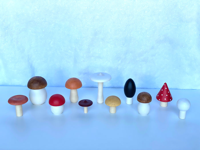Wooden Mushroom Toys set of 11
