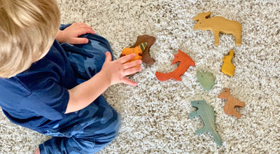 How to Set Up a Montessori Toy Shelf at Home