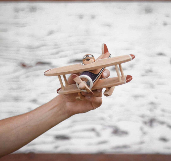 Gnezdo Wooden Seaplane with Pilot