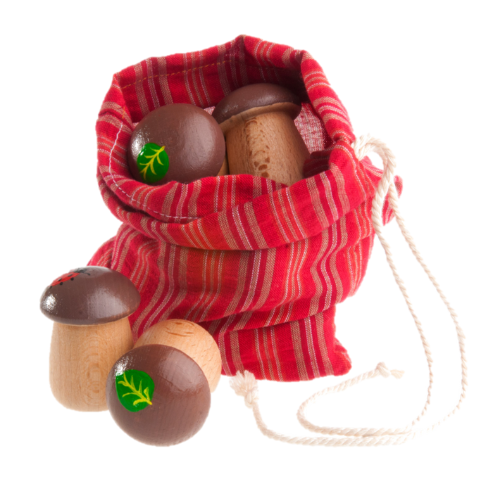 Educational Mushrooms Counters for kids math Play set of 12 in linen bag