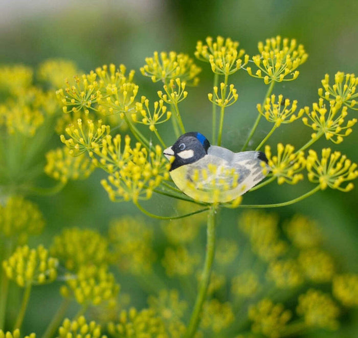 Wooden Bird Figurines