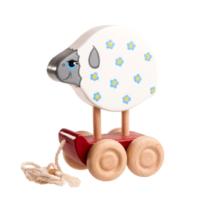 Wooden Sheep Pull toy painted