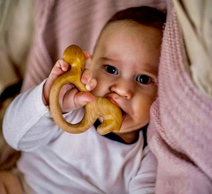 Organic Wooden Rattle-Teether Horse