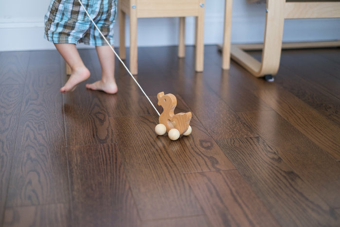 Duck Pull Along Toy