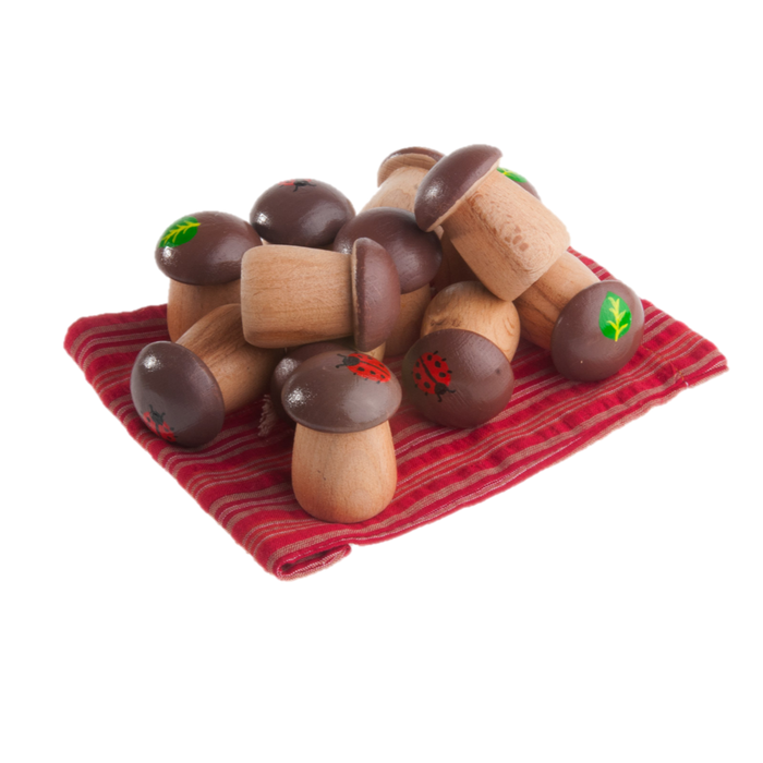 Educational Mushrooms Counters for kids math Play set of 12 in linen bag