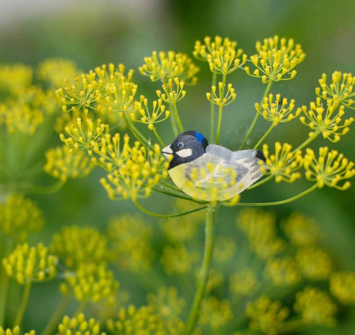 Wooden Bird Figurines
