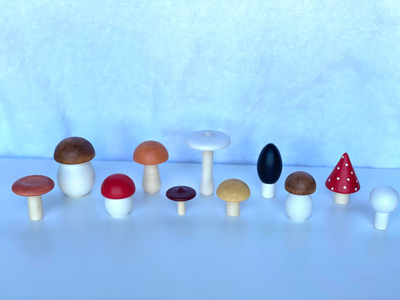 Wooden Mushroom Toys set of 11