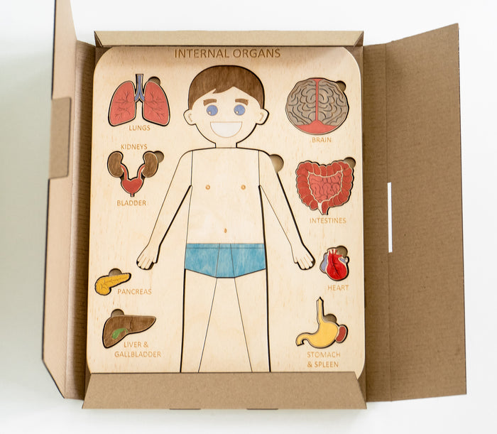 Human Body Puzzle Toy