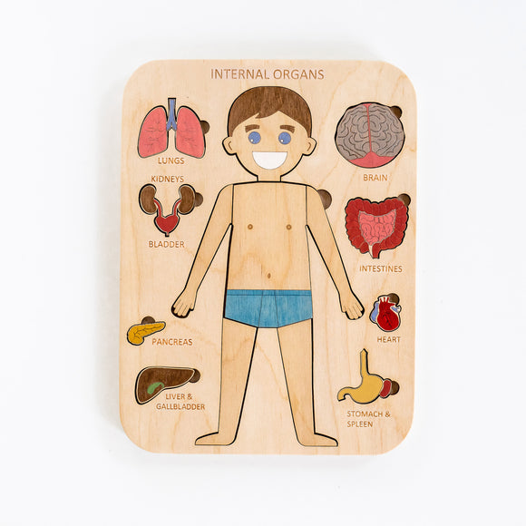Human Body Puzzle Toy