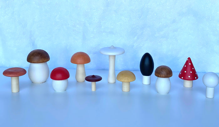 Wooden Mushroom Toys set of 11